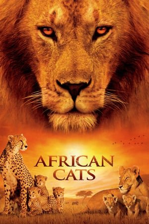 აფრიკული კატები / African Cats