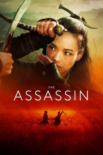 მკვლელი / The Assassin