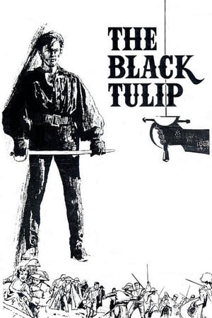 შავი ტიტა / The Black Tulip