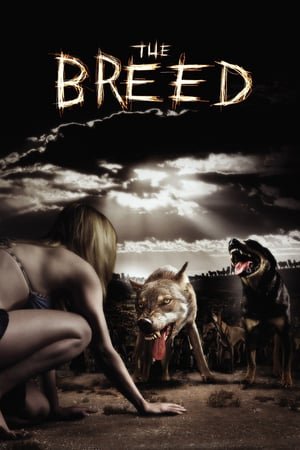 ხროვა / The Breed