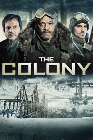 კოლონია / The Colony