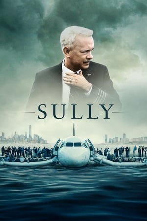 სალი / Sully