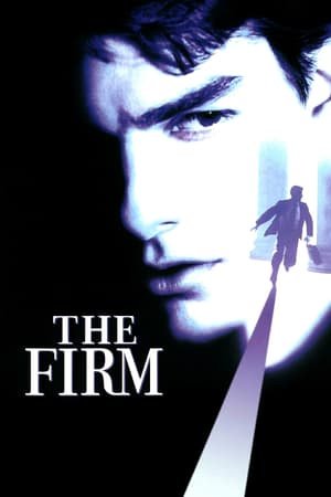 ფირმა / The Firm