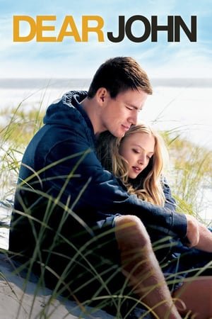 ძვირფასი ჯონი / Dear John