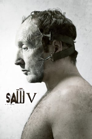 ხერხი 5 / Saw V