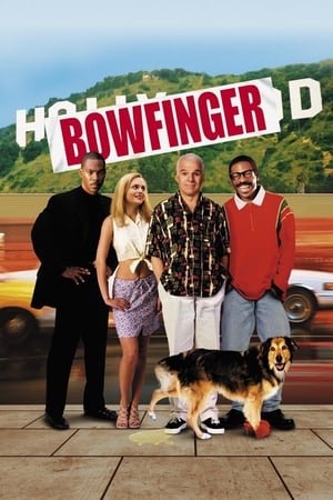 მაგარი ბიჭი  / magari bichi  / Bowfinger