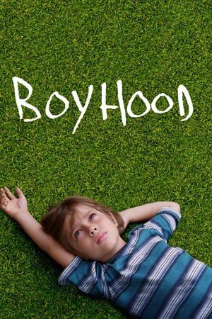 ბავშვობა / BoyHood