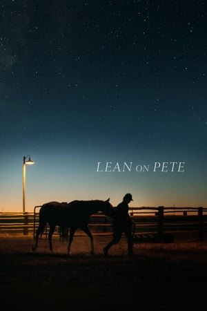 საიმედო პიტი / Lean on Pete