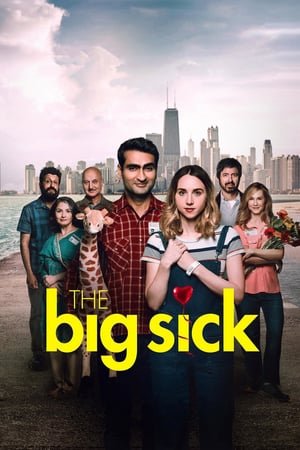 დიდი ავადმყოფობა / The Big Sick