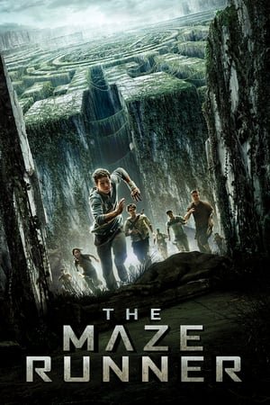 ლაბირინთში მორბენალი / The Maze Runner