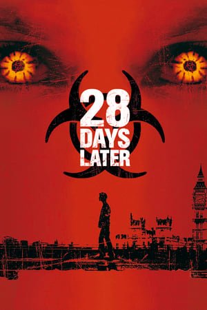 28 დღის შემდეგ | 28 Days Later