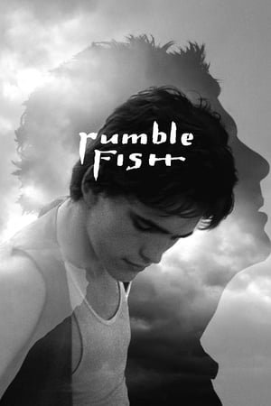 მებრძოლი თევზი  / Rumble Fish