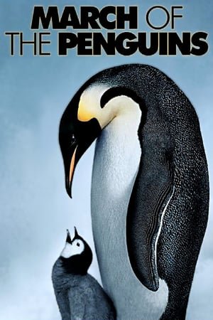 საიმპერატორო პინგვინების მარში  / March of the Penguins