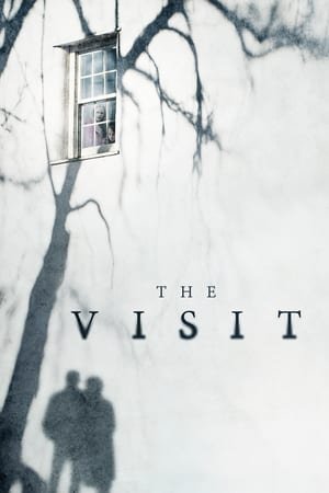 ვიზიტი / The Visit