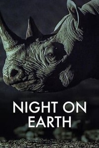 ღამე დედამიწაზე  / game dedamiwaze  / Night on Earth