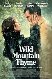 ველური ქონდარა / Wild Mountain Thyme