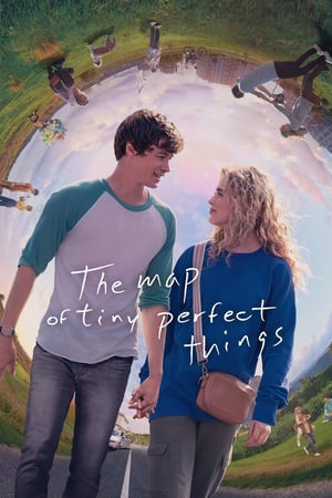 პატარა იდეალური მომენტების რუკა / The Map of Tiny Perfect Things