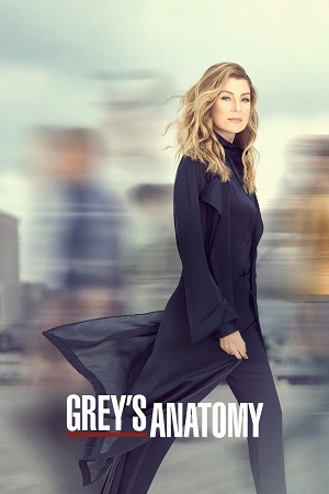 გრეის ანატომია / Grey's Anatomy