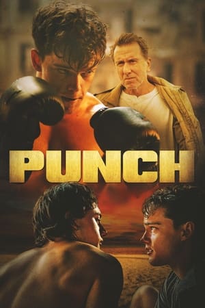 დარტყმა | PUNCH