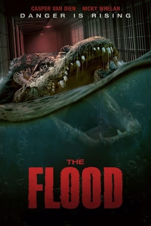 წყალდიდობა | THE FLOOD