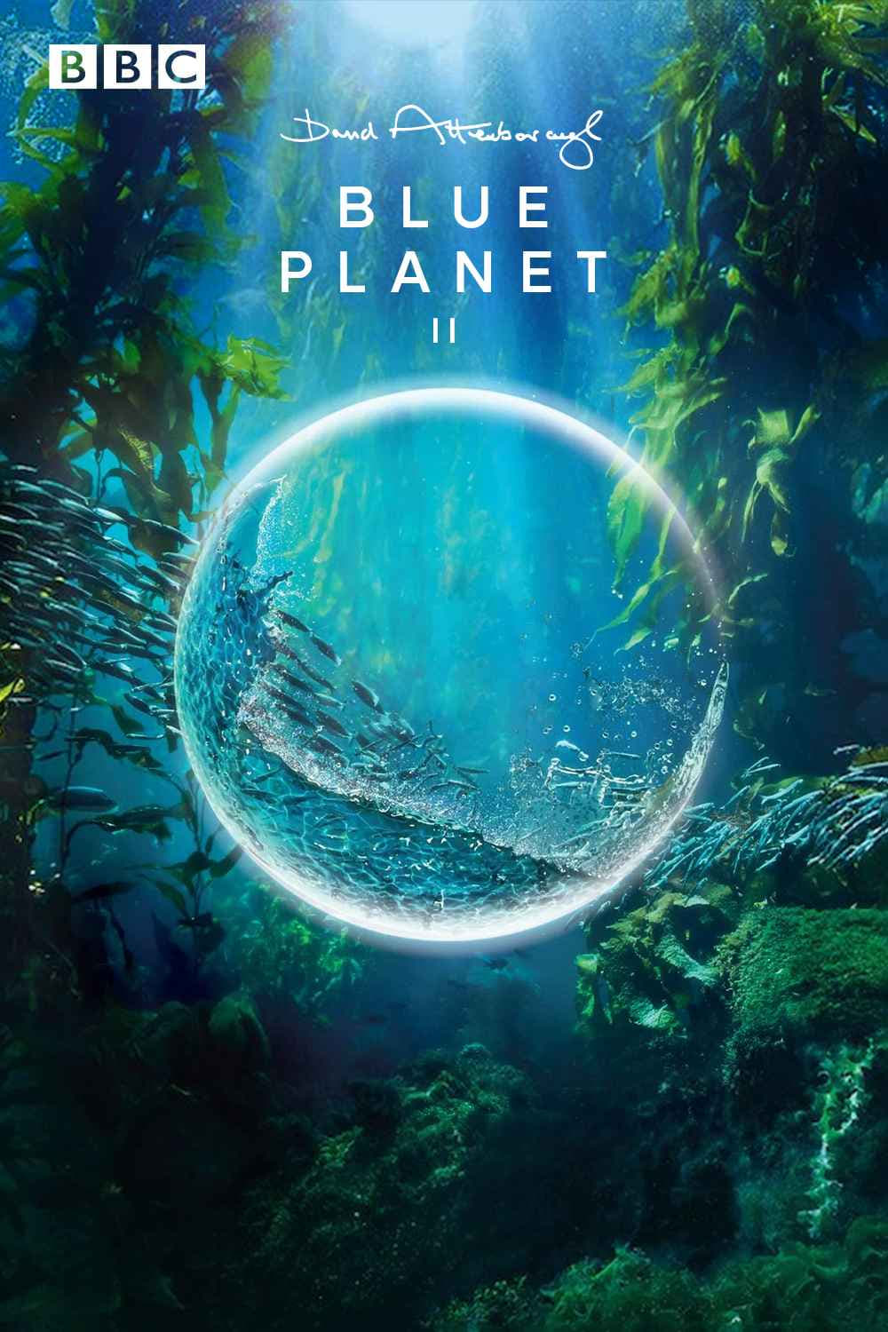 ლურჯი პლანეტა II / Blue Planet II